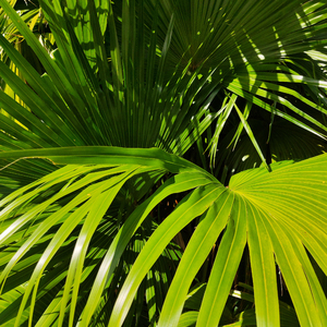 男生和男生色色动画网络
